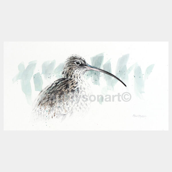 Call of the Curlew