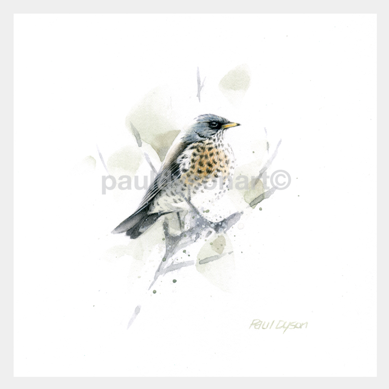 Fieldfare