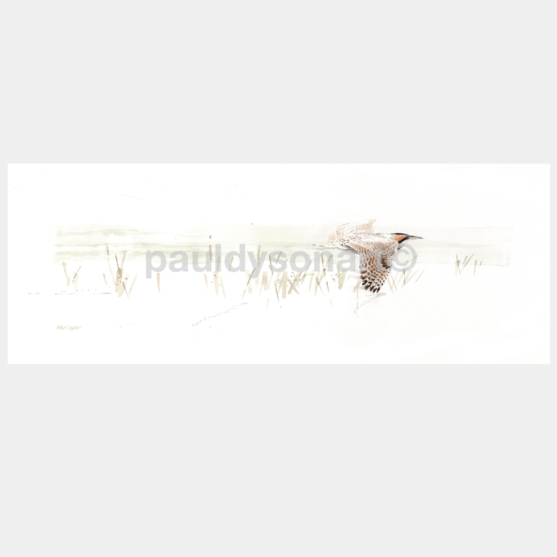 Flyby