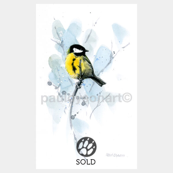 Great Tit