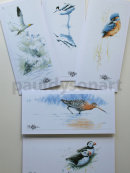 Greetings Cards Group 4