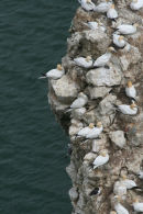 Fighting for a space