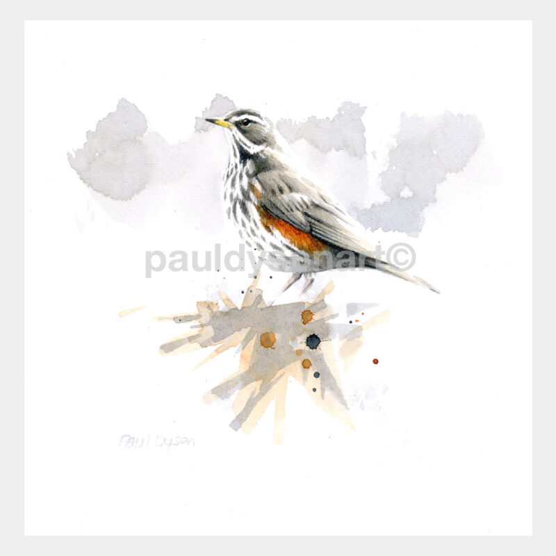 Redwing