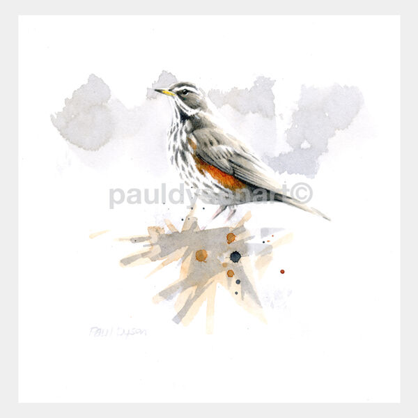 Redwing