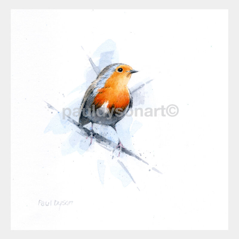 Robin