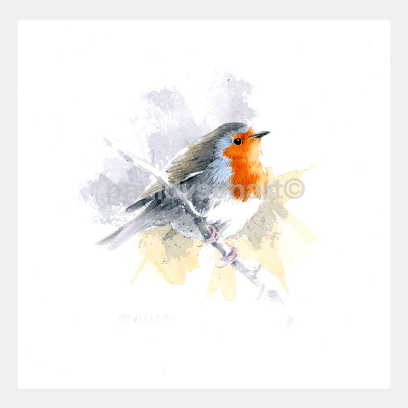 Robin 3