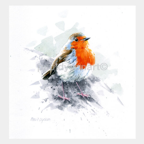 Robin B