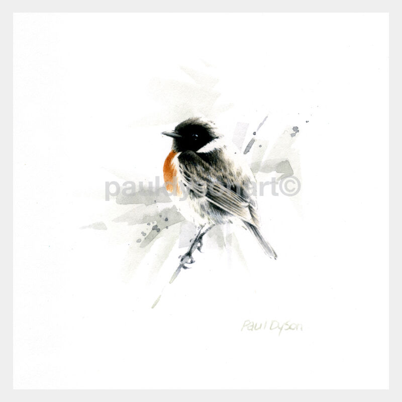 Stonechat