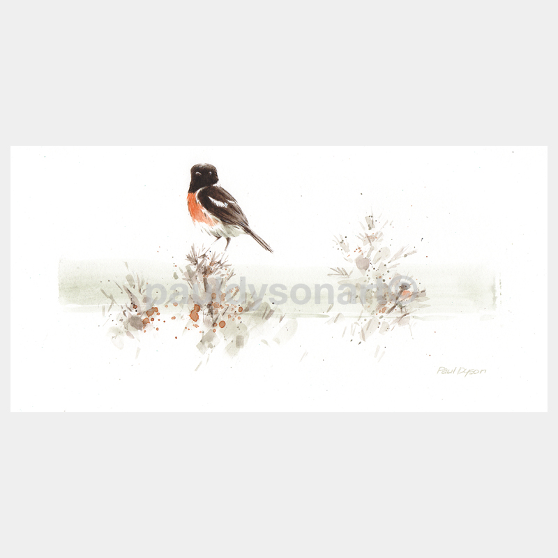 Stonechat