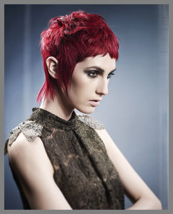 Francesco Cheltenham