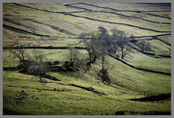 Yorkshire Dales