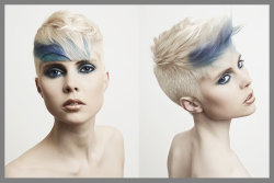 Wella Trend Vision 13