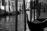 Venice 2