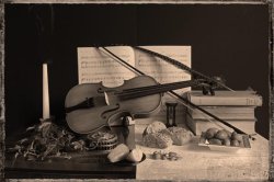 Vanitas in Sepia