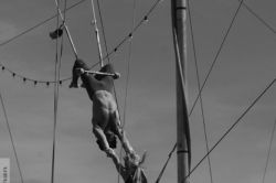 Trapeze 2