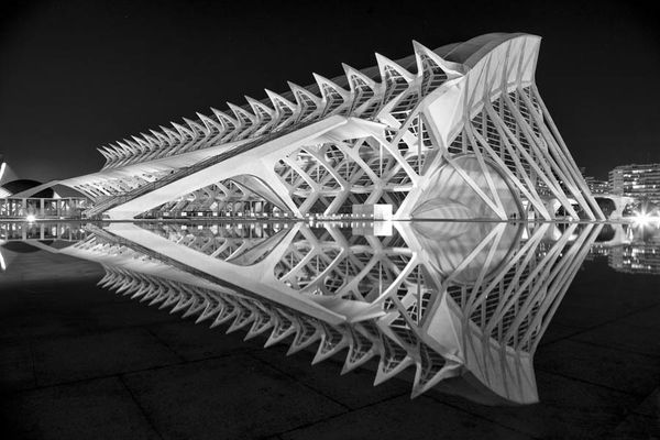 Skelett in Schwarz Weiß