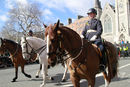 Garda