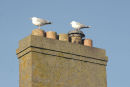 Chimney