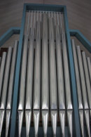 Organ