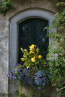 Window