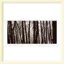 Code Barre - Pilat - 2001