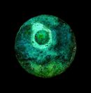 Moonlit Pond No.7 - 2024