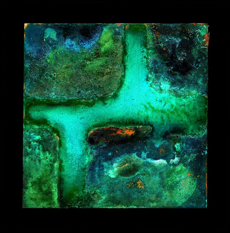 Cock Robin No.1 - 2025