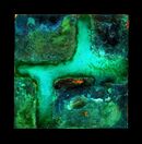 Cock Robin No.1 - 2025