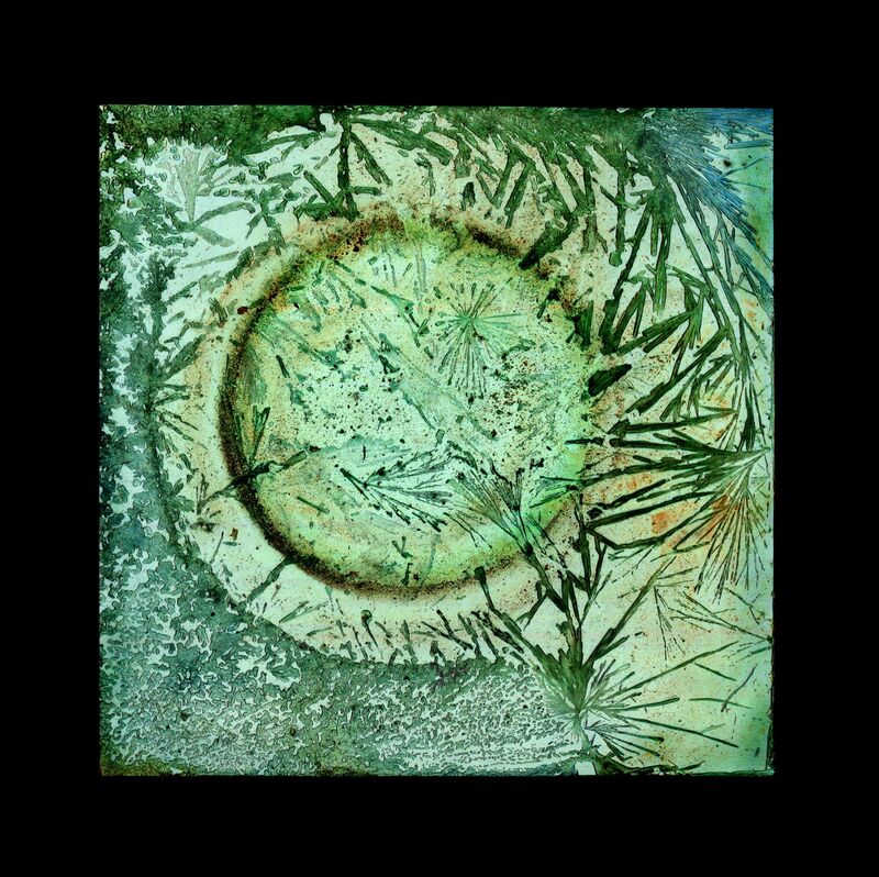 Chemical Works - Pond Life - 2025