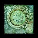 Chemical Works - Pond Life - 2025