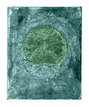 Chemical Works No.64 - 2023