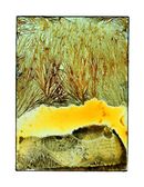 Chemical Works - Brightens & Energises - 2024