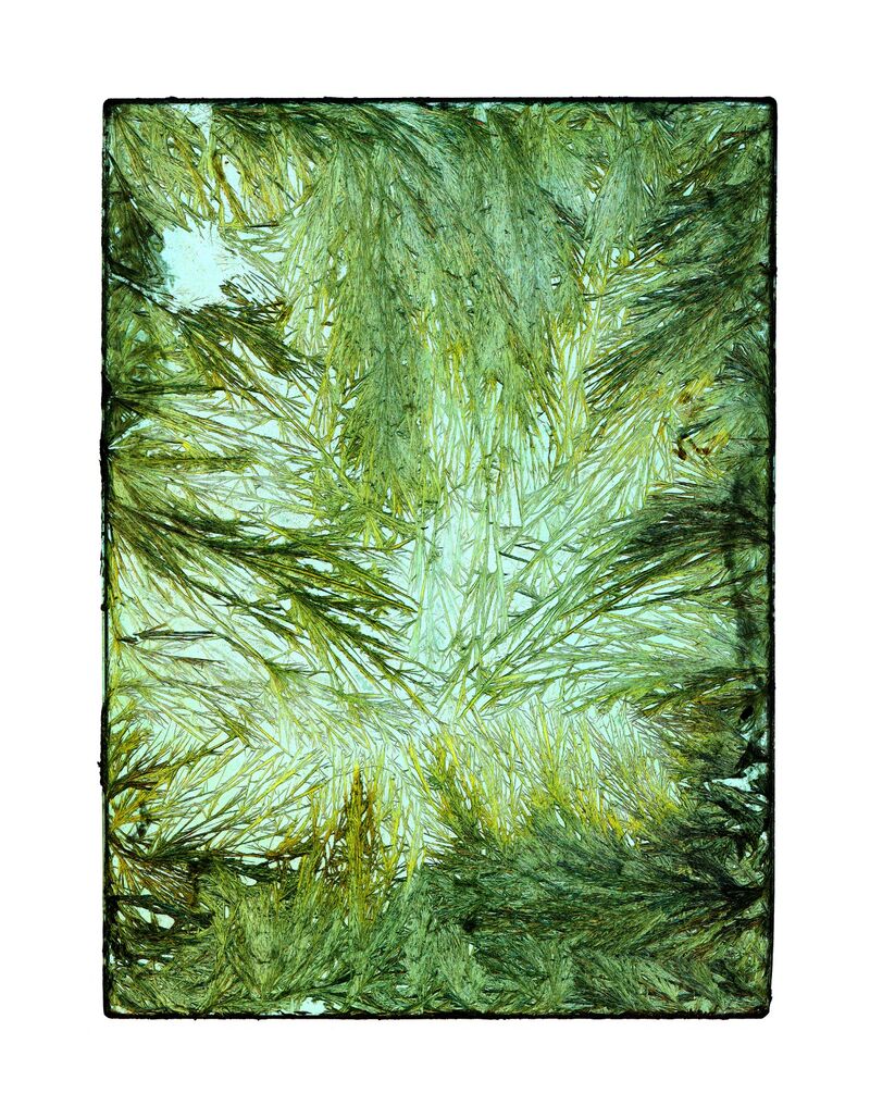 Chemical Works - Nourish & Protect - 2024