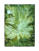 Chemical Works - Nourish & Protect - 2024