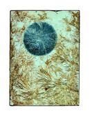 Chemical Works - Blue Wonder Drift - 2025