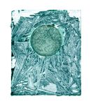 Chemical Works No.32 - 2024