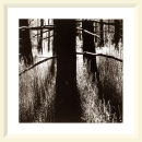 Libera me - Parc Du Pilat - 2001