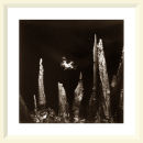 Pie Jesu - Parc Du Pilat - 2001