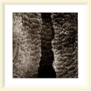 Sanctus - Parc Du Pilat - 2001