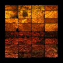 autumn walk 3 - 2015