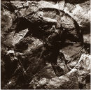 Leaf Circle No.2 - 1997