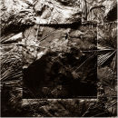 Leaf Square No.2 - 1997