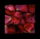 rain damage red - 2013