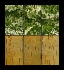 under the surface pond birch layers 1 - 2016