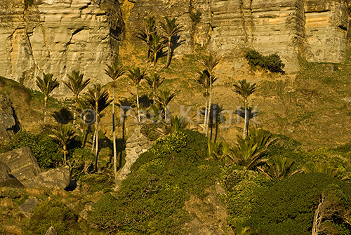 Rather like a Mid-East scene, expect to see camels.