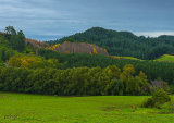 Nth-Manakau-Rd_1541