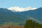 Tararua Snow 1831 from Otaki River