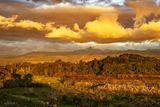 Papaitonga-Wetland.7652-1