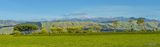 Looking East from Spring Rd, Horowhenua