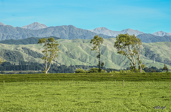 Looking East from Spring Rd, Horowhenua 2631